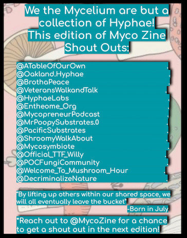 The Myco Zine Edition 1