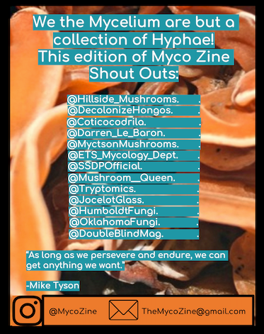 The Myco Zine Edition 2