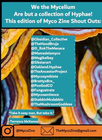The Myco Zine Edition 3