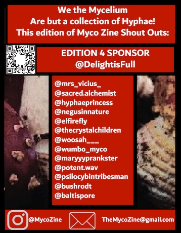 The Myco Zine Edition 4